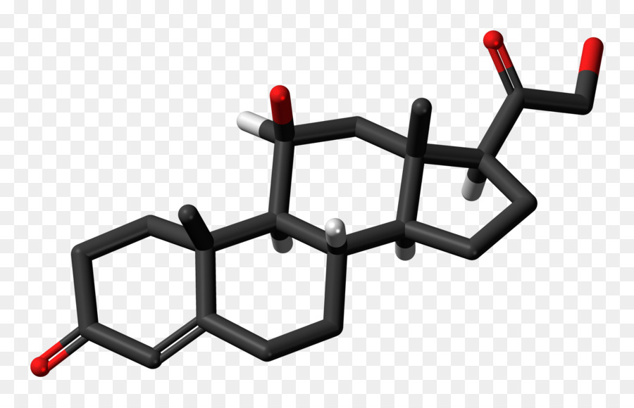 Kortizol，Pregnenolon PNG