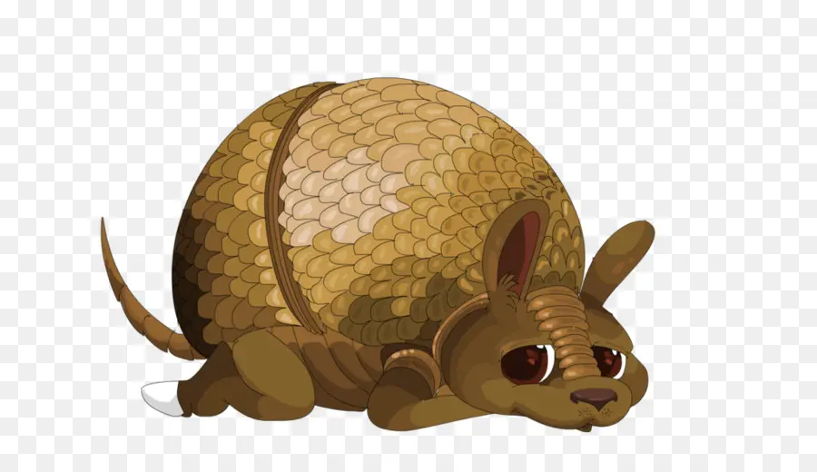 Karikatür Armadillo，Sevimli PNG