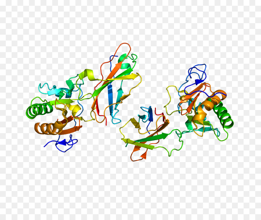 Protein Yapısı，Molekül PNG