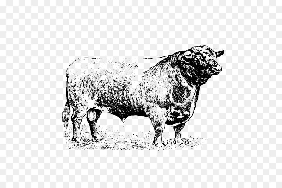 Koyun，Sığır PNG