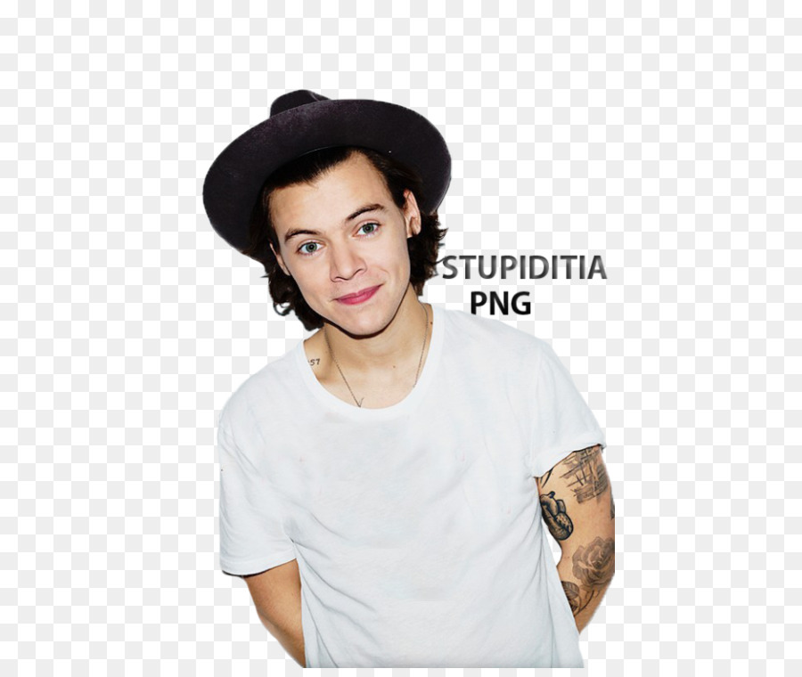 Harry Stilleri，Tek Yön PNG