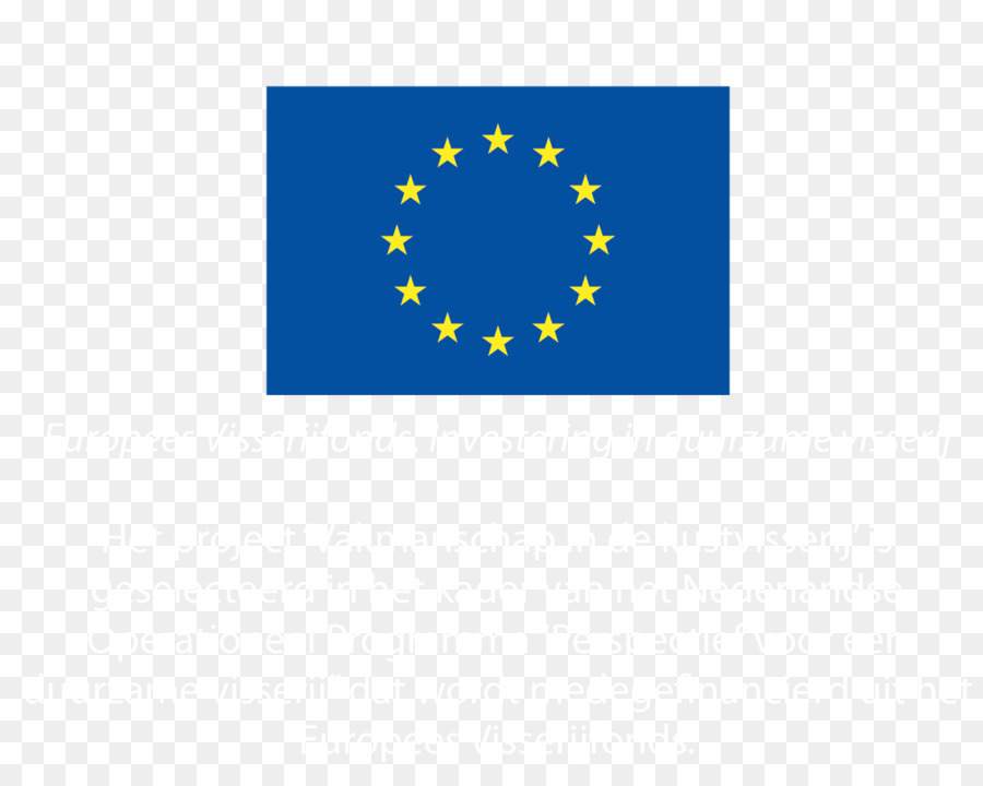 Avrupa Birliği Anayasa Profilleri Seçim Yasasına Göre，Avrupa Birliği PNG