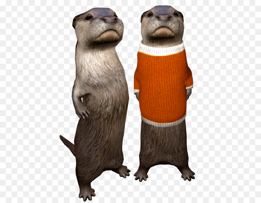 Mustelids，Kemirgen PNG