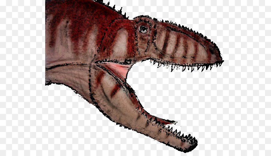 Tyrannosaurus，Giganotosaur PNG