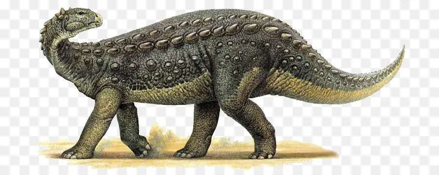 Tyrannosaurus，Scelidosaurus PNG