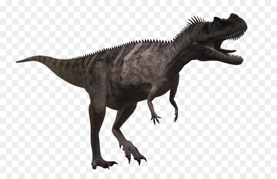 Ceratosaurus，Karnotorus PNG