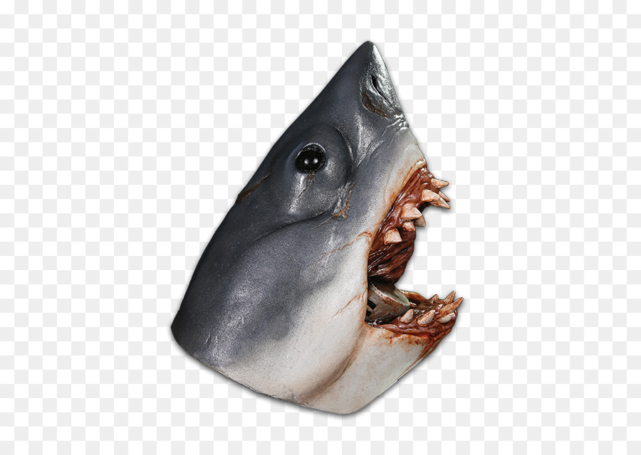 Köpekbalığı，Kara Köpekbalığı PNG
