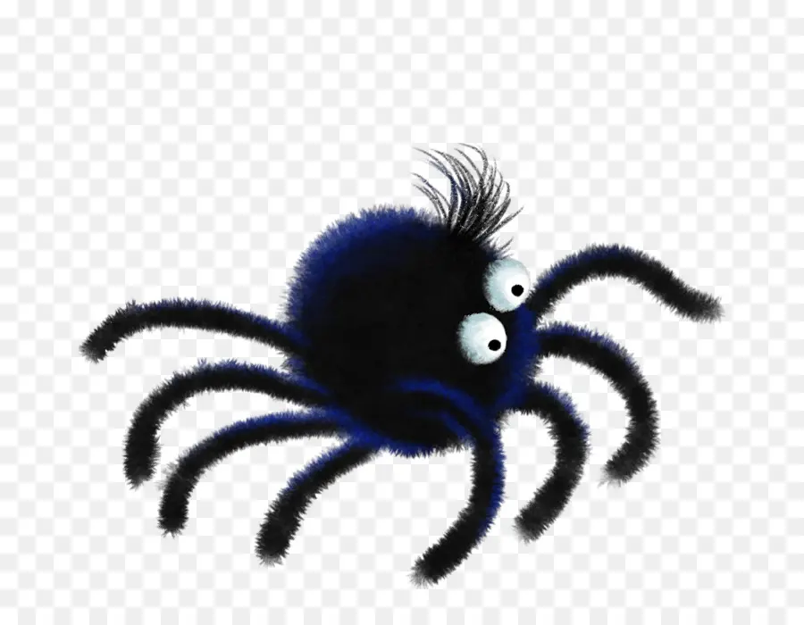 ıtsy Bitsy Spider，örümcek PNG