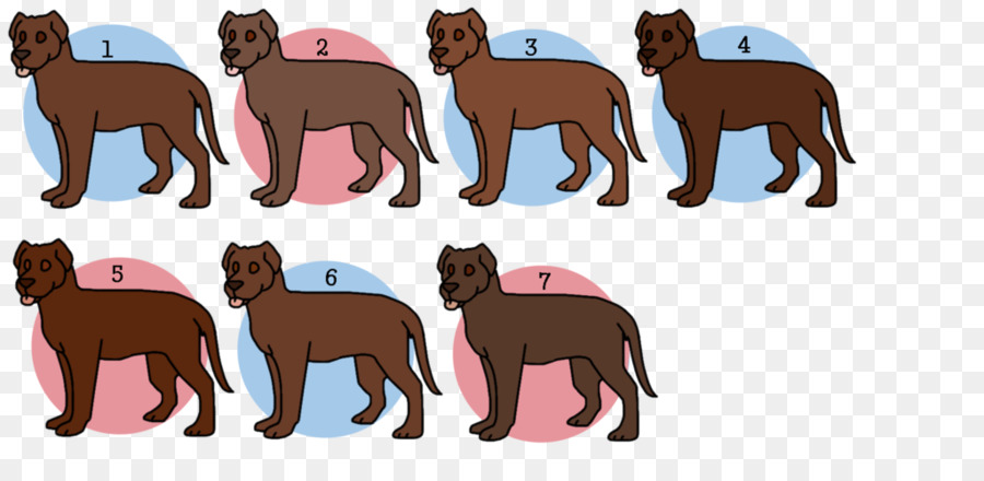 Köpek ırkı，Köpek Yavrusu PNG