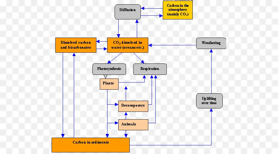 Karbon Döngüsü Diyagramı，Karbon PNG