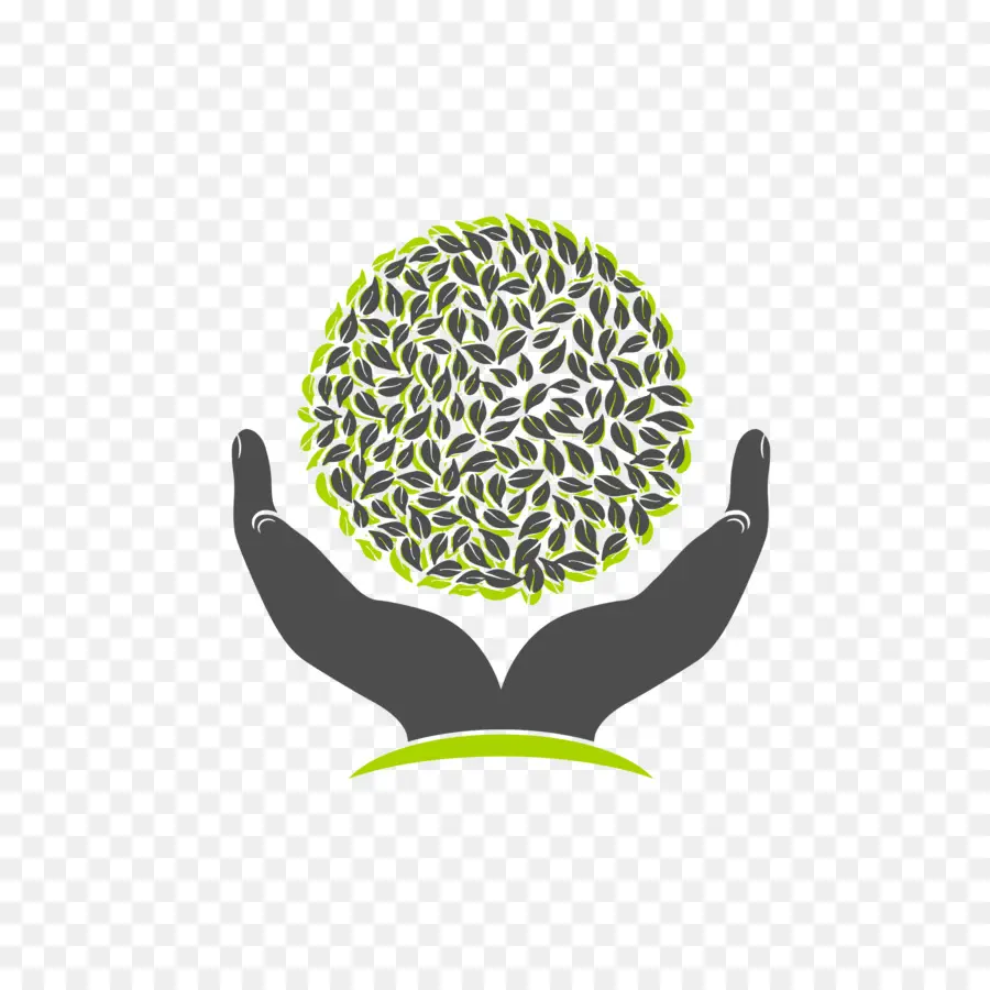 Ağaç，Logo PNG