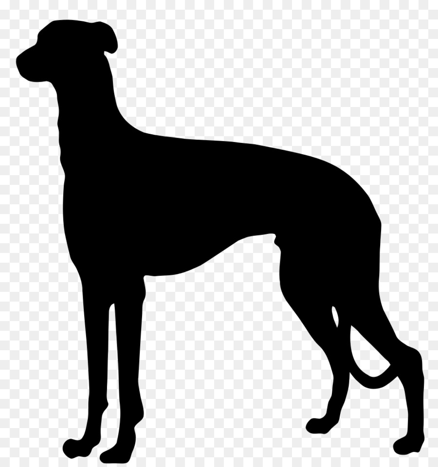 Alman Pointer Alman Beyaz Tuylu Pointer Alman Kisa Tuylu Isaretci Uzun Spinone Italiano Kopek Siluet Seffaf Png Goruntusu