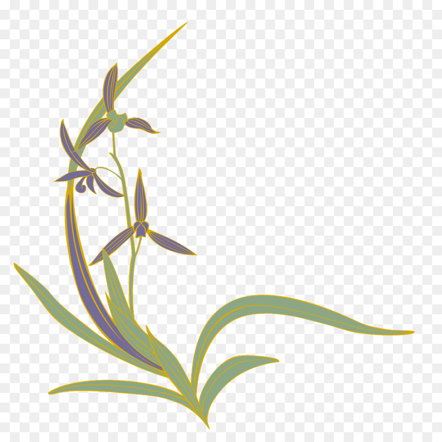 Çin Suluboya Fırçası，Orkide PNG