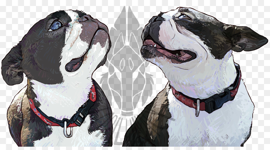 Boston Terrier，Köpek ırkı PNG