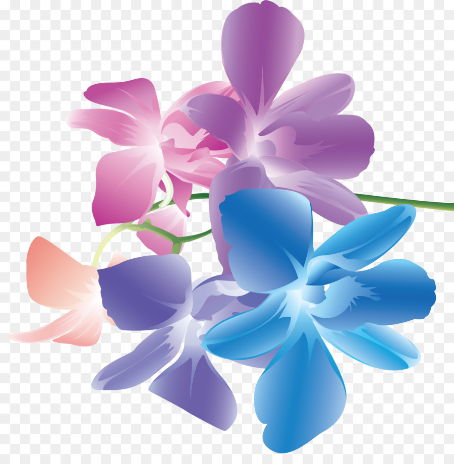 çiçek，Bahçe Güller PNG