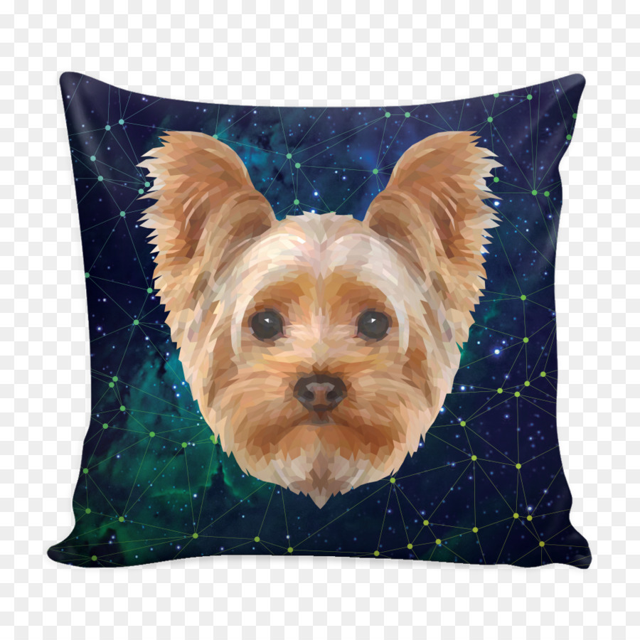 Yorkshire Terrier，Morkie PNG