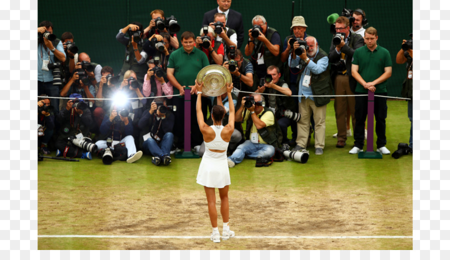 Wimbledon Şampiyonası，Kupa PNG