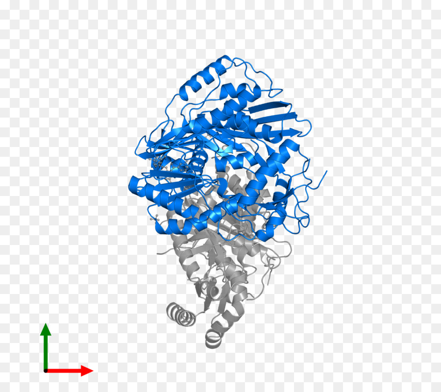 Grafik Tasarım，Insan Davranışı PNG