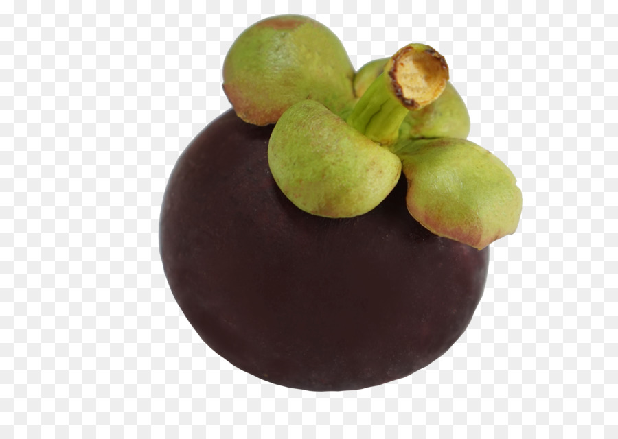 Mangosten，Mor PNG