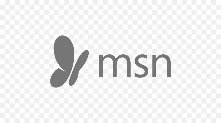 Logo，Msn PNG
