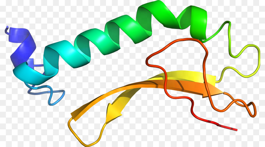 Protein Sarmalı，Molekül PNG