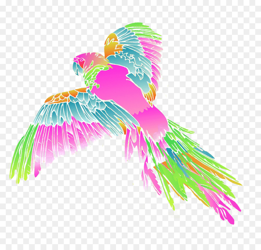 Papağan，Tüy PNG