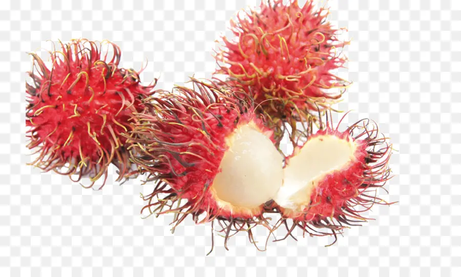 Rambutan，Tropikal PNG