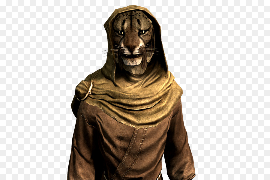 Elder Scrolls ııı Morrowind，Yaşlı Verilirse V Skyrim Dragonborn PNG