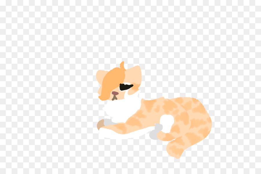 Kedi，Masaüstü Duvar Kağıdı PNG