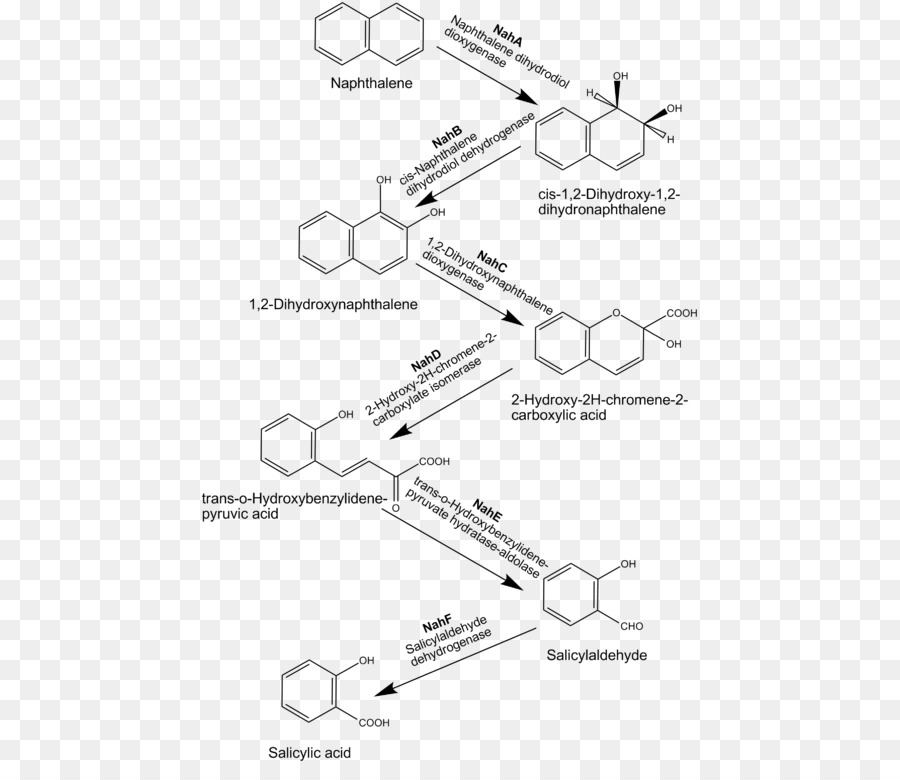Naftalin，Polisiklik Aromatik Hidrokarbon PNG