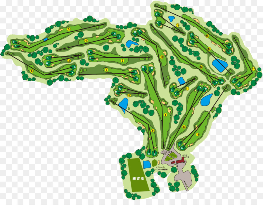 Golf Sahası，Yeşillik PNG