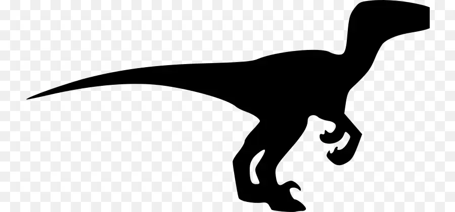 Velociraptor，Çizim PNG