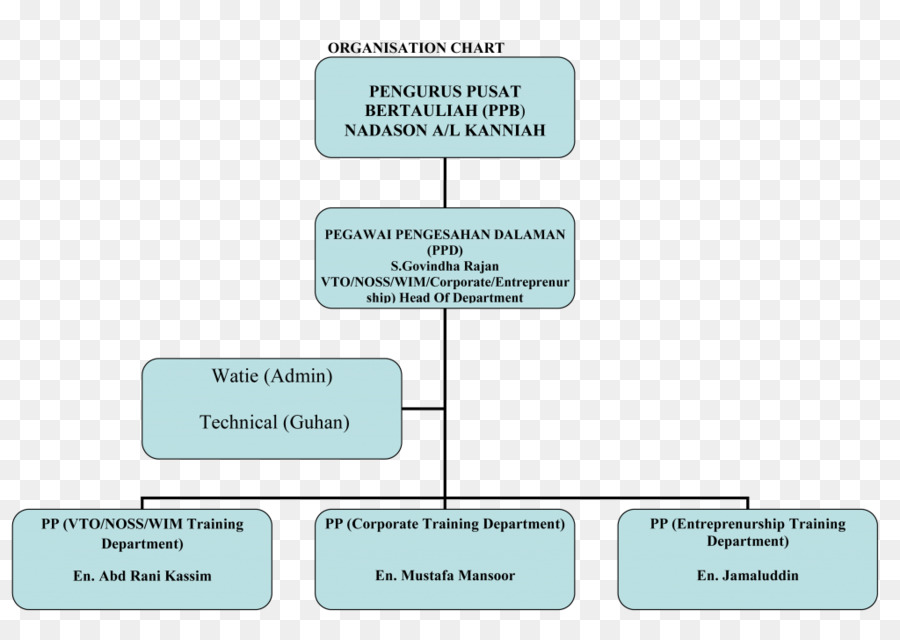 Organizasyon，Organizasyon şeması PNG