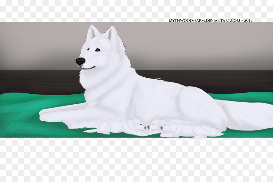 Samoyed Köpek，Kömür PNG