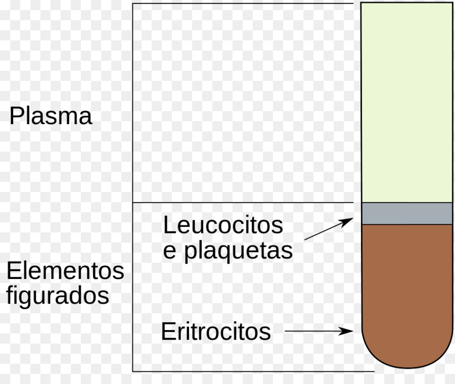 Hematokrit，Kan Hücre PNG