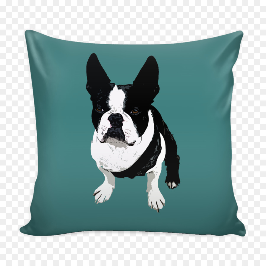 Boston Terrier，Selkirk PNG