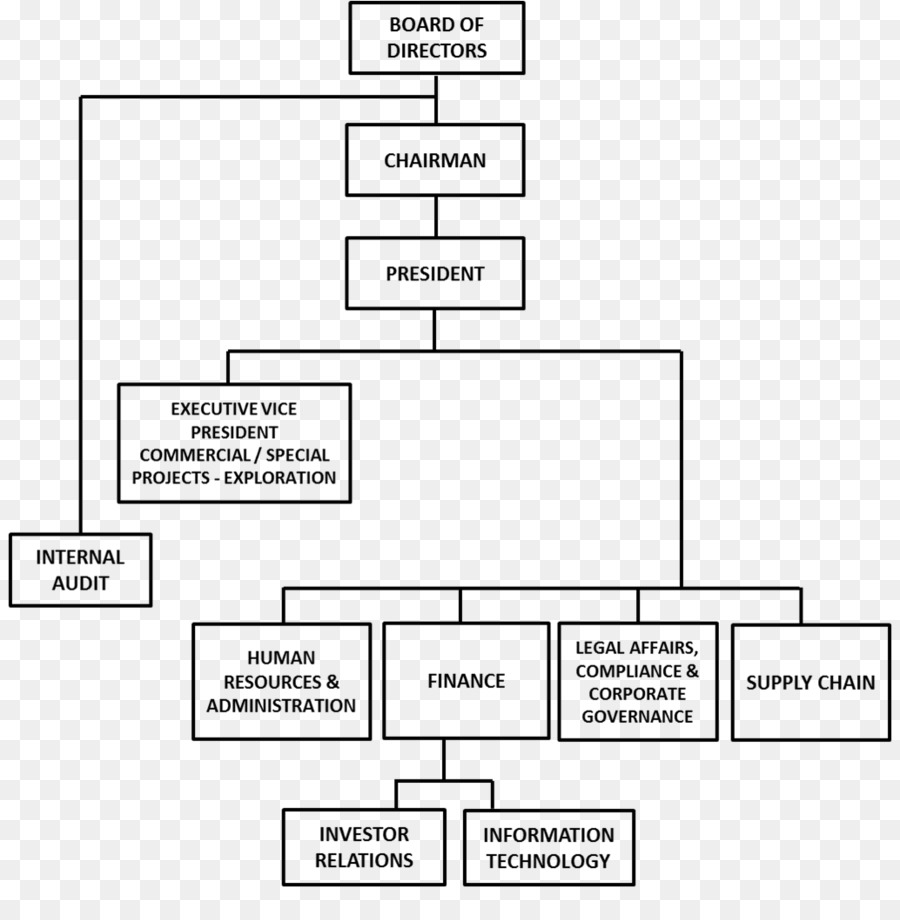 Organizasyon şeması，Organizasyon PNG