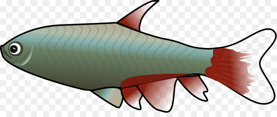 Balık，Tropikal Balık PNG
