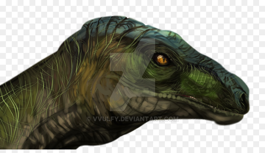 Velociraptor，Tyrannosaurus PNG