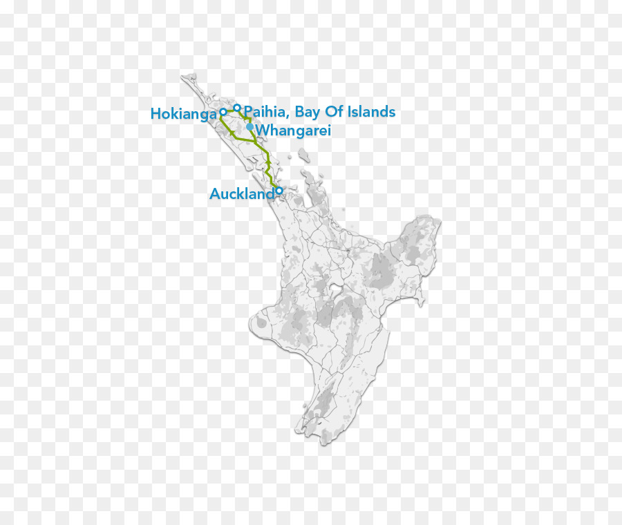 Organizma，Harita PNG