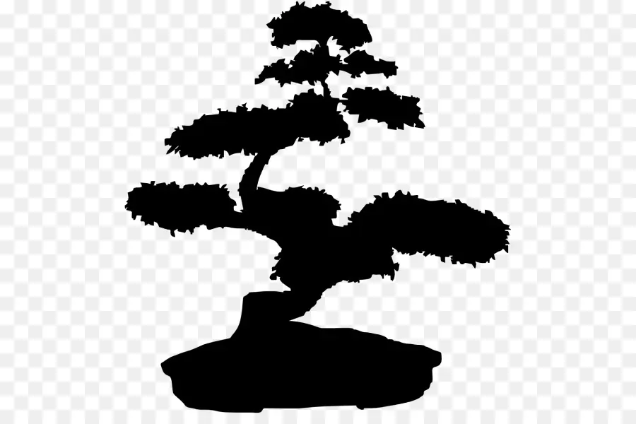 Bonsai Ağacı，Siluet PNG