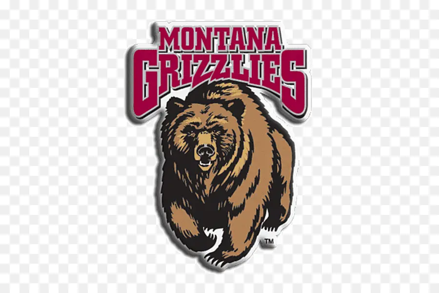 Montana Üniversitesi，Montana Grizzlies Futbol PNG