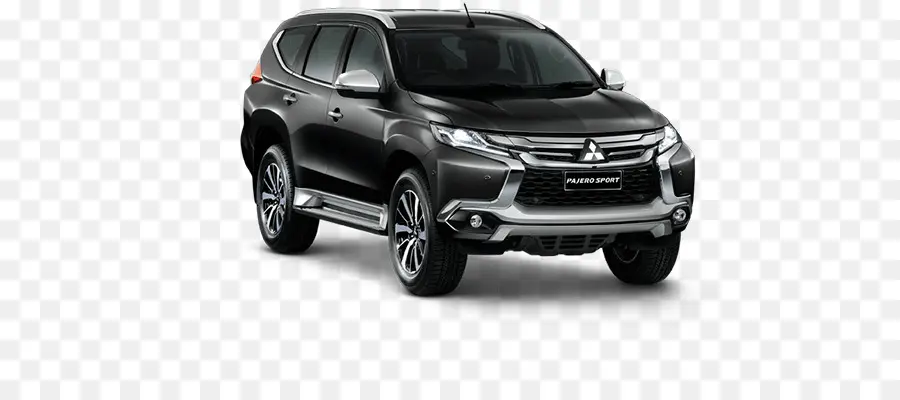 Mitsubishi Pajero，Mitsubishi PNG