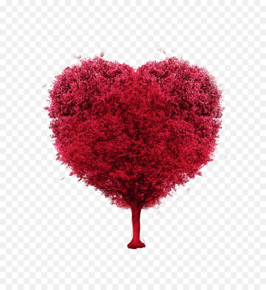 Kalp，Aşk Ağacı PNG