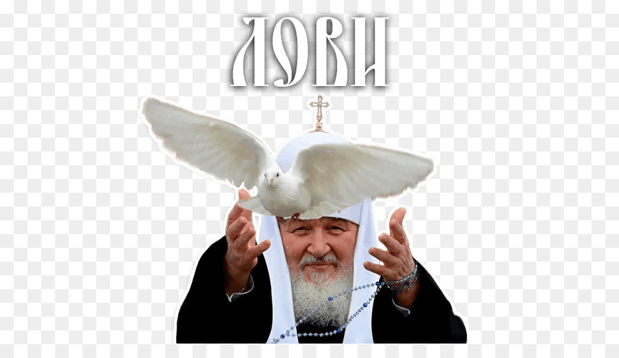 Moskova Patriği Kirill，Etiket PNG