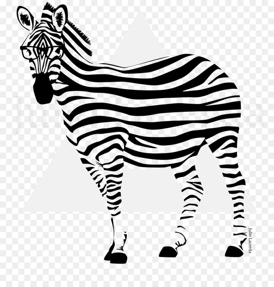 Quagga，Zebra PNG