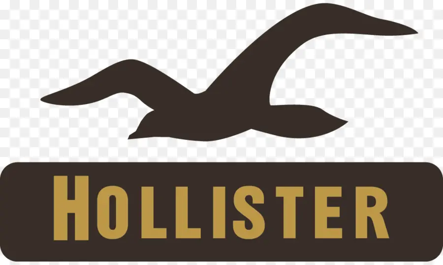 Hollister Logosu，Martı PNG