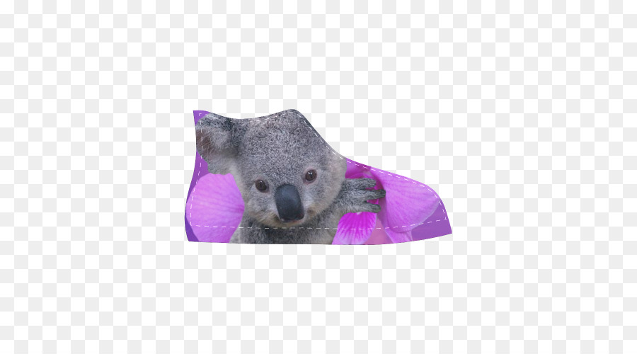 Koala，Avustralya PNG