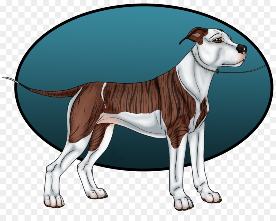 Köpek ırkı，İtalyan Greyhound PNG