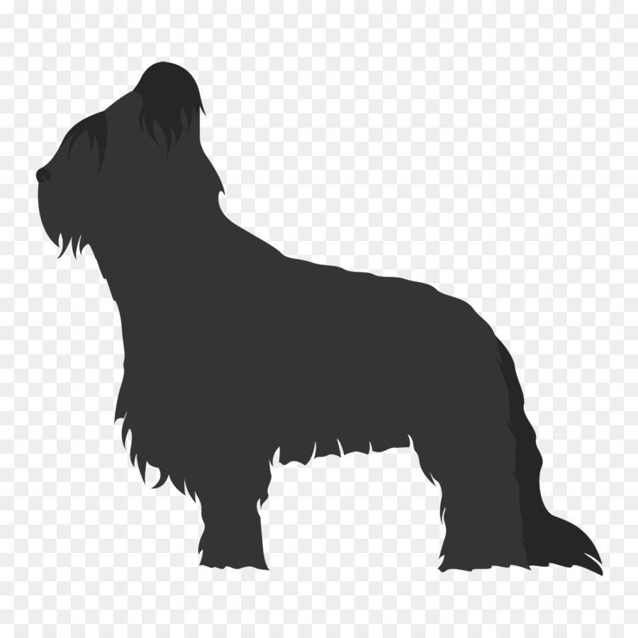 İskoç Terrier，Nonsporting Grup PNG